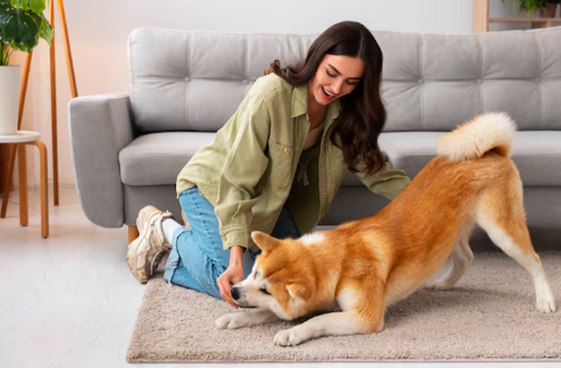 Mulher sorridente interagindo com um cachorro dentro de casa, representando o serviço de pet sitting voltado para cuidados e atenção aos animais no ambiente familiar.
